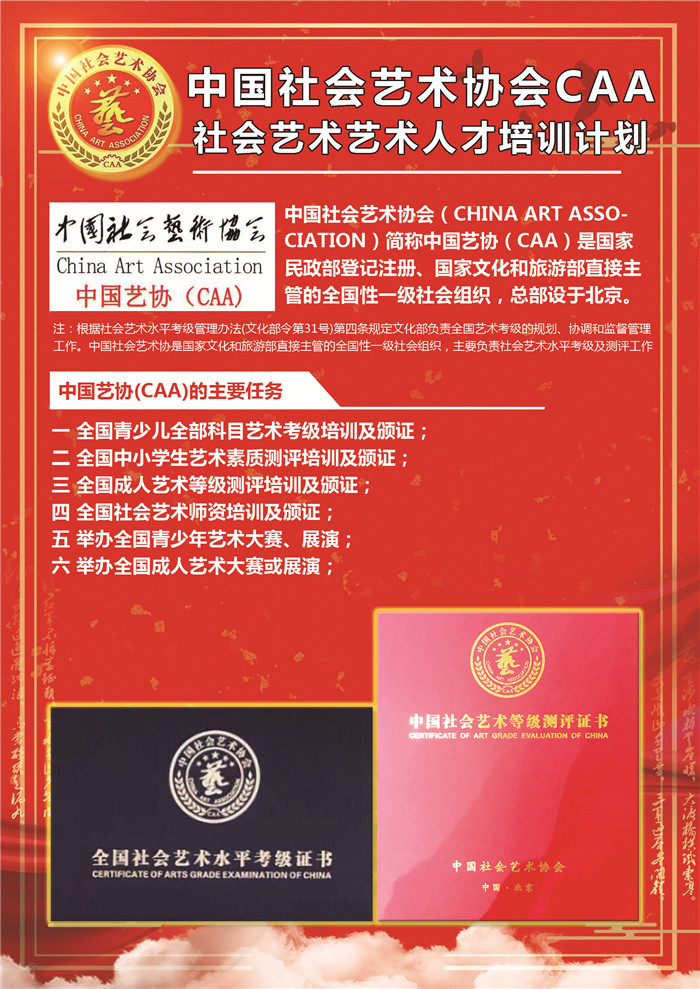 中国社会艺术协会CAA中国社会艺术人才培训计划设计图册设计